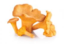 Girolles